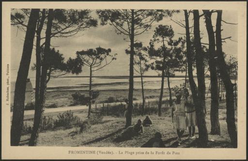 Fromentine : la plage prise de la forêt de pins (vue 1), les hôtels et la plage pris de la forêt de pins (vue 2) / Jules Robuchon phot.